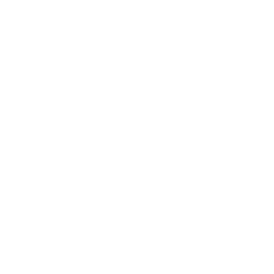 Nimble Fox logo